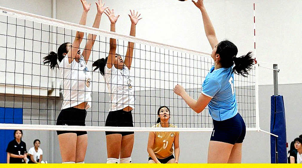 Ô trống trong sổ thống kê và vòng xoay bị kẹt của bóng chuyền nữ Việt Nam
