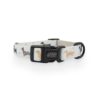 101 Dachshund' Dog Collar - Image 3